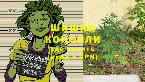 PSILOCYBIN Абаза